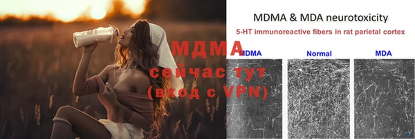 молекула духа Заволжье