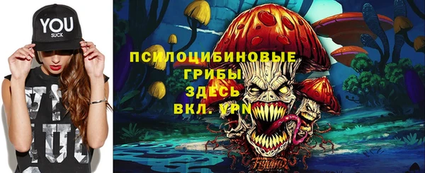 молекула духа Заволжье