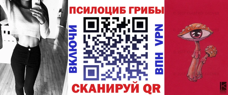 Купить  Михайловск  Галлюциногенные грибы Magic Shrooms 